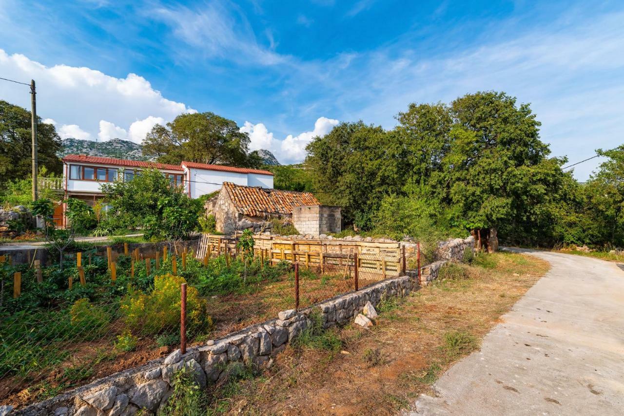 Apartment Adam Starigrad Paklenica Εξωτερικό φωτογραφία